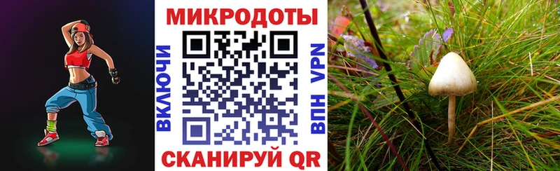 Псилоцибиновые грибы мухоморы  omg ССЫЛКА  Раменское 